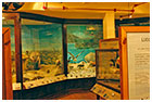 Sala de Historia Natural