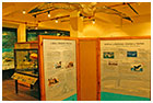 Sala de Historia Natural